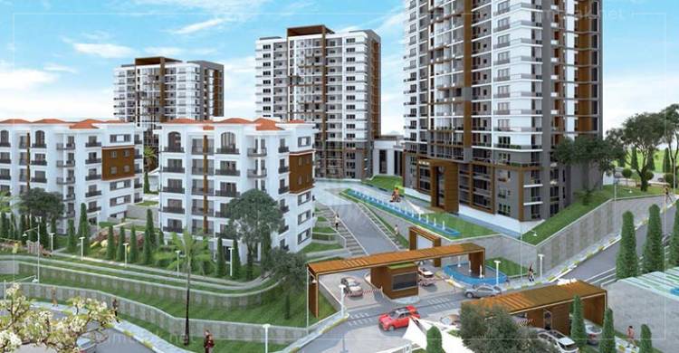 شركة مصرية تدرس تنفيذ مناطق تطوير عقاري بريف دمشق