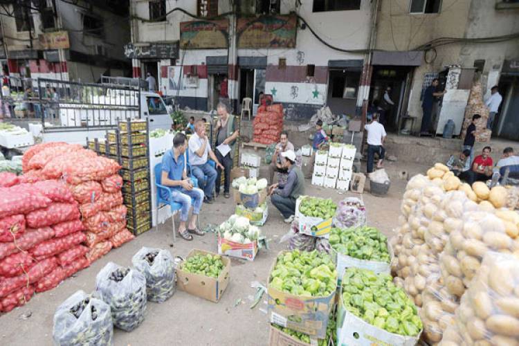لجنة تجار الخضار بدمشق: انخفاض واضح بأسعار الخضار خلال الأيام الماضية