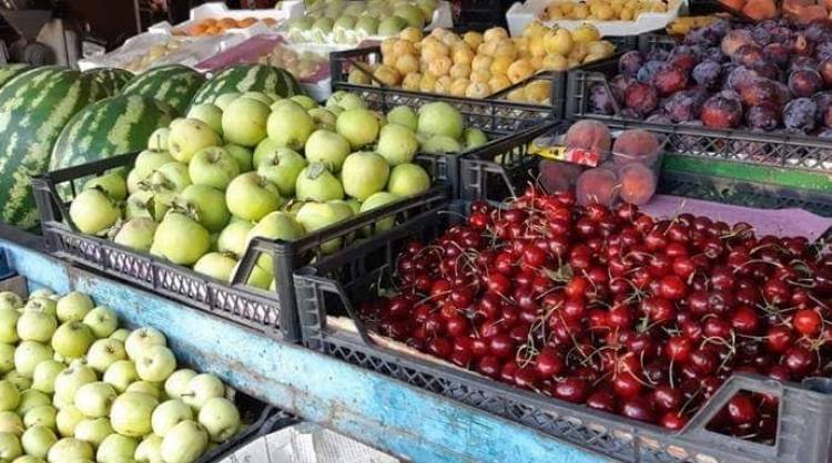 تصدير الفواكه ينتعش 110 برادات إلى دول الخليج في أسبوع